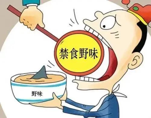 6408285f9faa8.jpg 微信图片_20230308141311.jpg