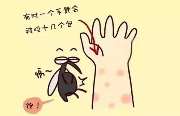 t01bbeee576e322dc9a.webp.jpg