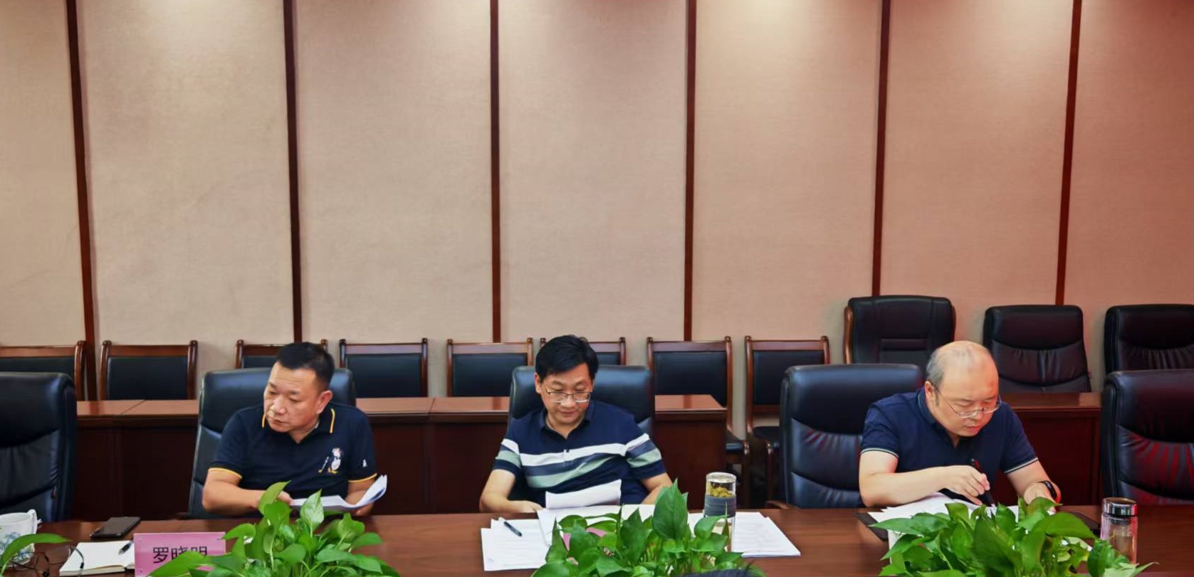 68c3e5351c256.jpg 0ac4610735a594435eb077b8ac761ef_副本.jpg